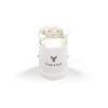 Classique Mini Round by VeF White Box | No Imprint | not available | not available