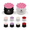 Classique Small Round by VeF Pink | No Imprint | not available | not available