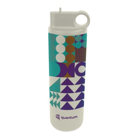 27 Oz. Full Color Roanoke Stainless Steel Bottle