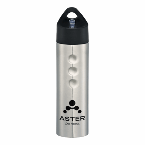 Troika 25oz Stainless Sports Bottle