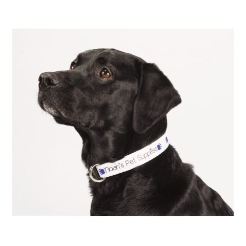 Full Color 1&quot; Wide Adjustable Pet Collar