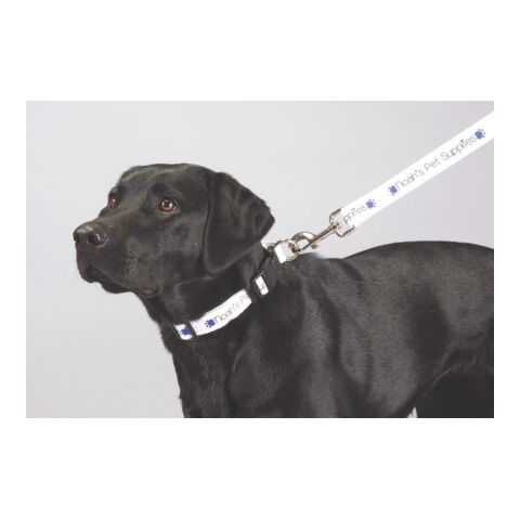 Full Color 1&quot; Wide Premium Pet Leash