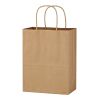 Kraft Paper Brown Shopping Bag - 8" x 10-1/4" Beige | No Imprint