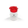 Classique Mini Round by VeF White Box | No Imprint | not available | not available