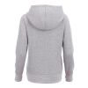 Women's DAYTON Fleece Hoody Standard | Heather Grey | S | No Imprint | not available | not available
