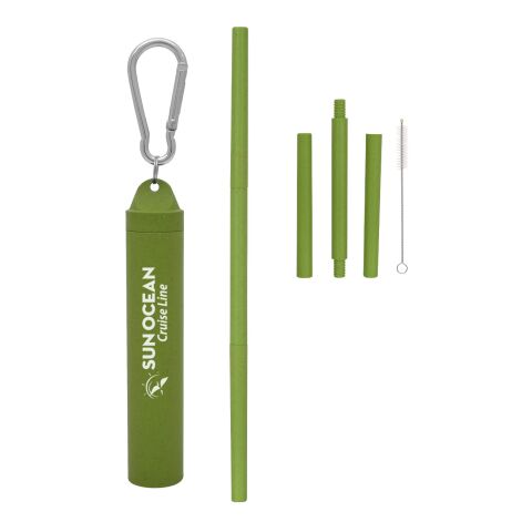 Buildable Wheat Straw Kit In Travel Case Green
