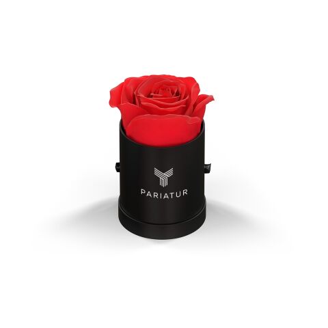 Classique Mini Round by VeF Black Box | No Imprint | not available | not available