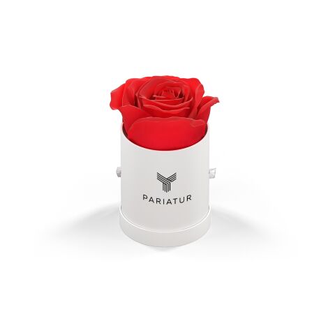 Classique Mini Round by VeF White Box | No Imprint | not available | not available