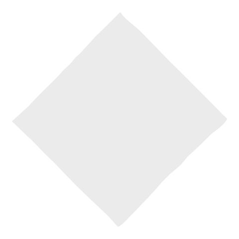 16&quot; x 16&quot; Full Color Dog Bandana White | No Imprint | not available | not available