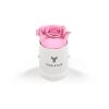 Classique Mini Round by VeF White Box | No Imprint | not available | not available