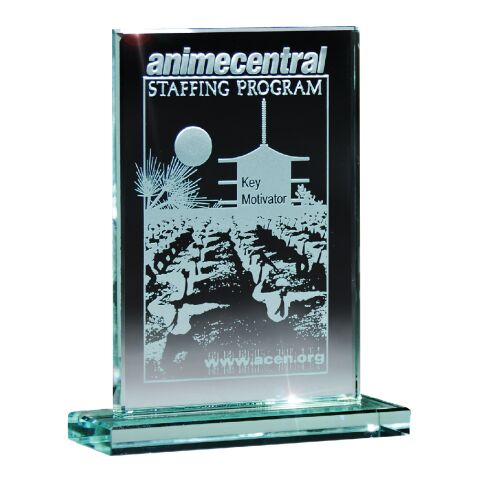 Medium Glass Award Tortoise | No Imprint