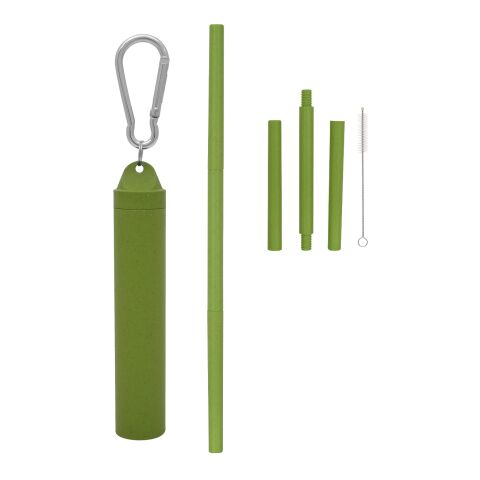 Buildable Wheat Straw Kit In Travel Case Green