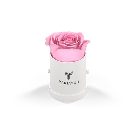 Classique Mini Round by VeF White Box | No Imprint | not available | not available