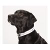 Full Color 1" Wide Adjustable Pet Collar White | No Imprint | not available | not available