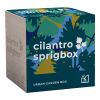 Sprigbox Cilantro Grow Kit Standard | Wood | No Imprint | not available | not available