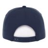 Unisex DOMINATE Ballcap Navy | OSFA | No Imprint | not available | not available