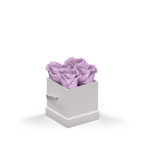 Classique Petit by VeF Lavender | No Imprint | not available | not available