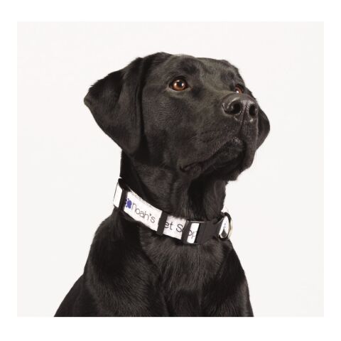 Full Color 1&quot; Wide Adjustable Pet Collar White | No Imprint | not available | not available