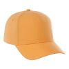 Unisex DOMINATE Ballcap Amber | OSFA | No Imprint | not available | not available