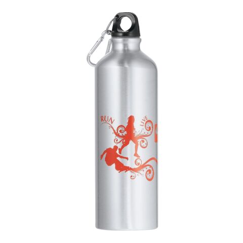 Santa Fe Aluminum Bottle 26oz Silver | No Imprint | not available | not available