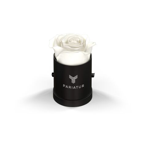 Classique Mini Round by VeF White Box | No Imprint | not available | not available