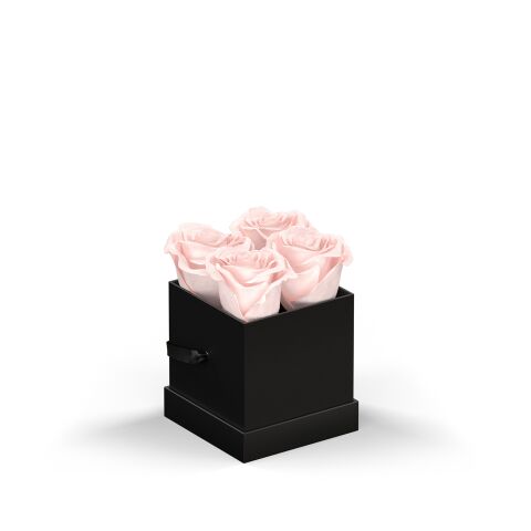 Classique Petit by VeF Black Box | No Imprint | not available | not available